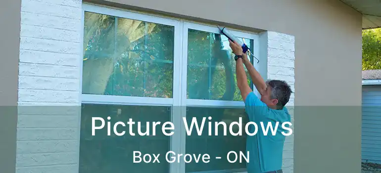  Picture Windows Box Grove - ON