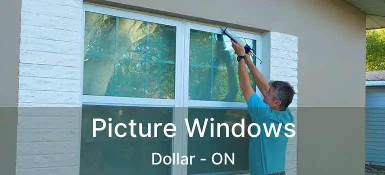  Picture Windows Dollar - ON