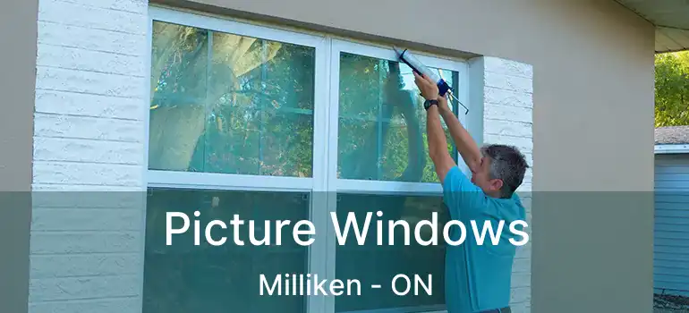  Picture Windows Milliken - ON
