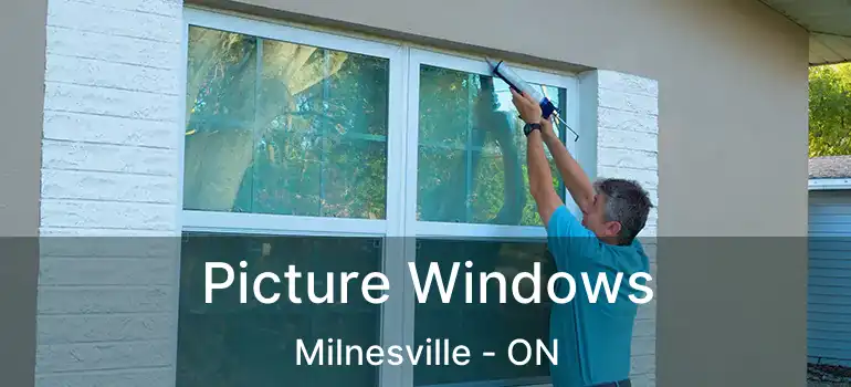  Picture Windows Milnesville - ON