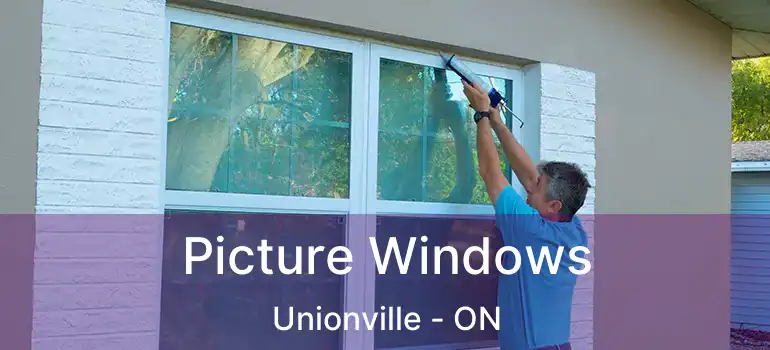  Picture Windows Unionville - ON