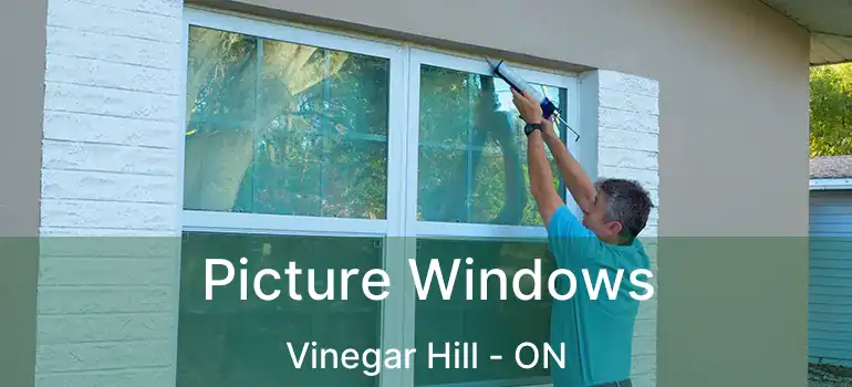  Picture Windows Vinegar Hill - ON