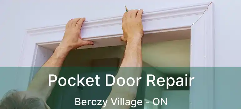  Pocket Door Repair Berczy Village - ON