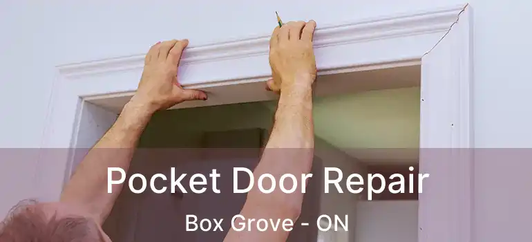  Pocket Door Repair Box Grove - ON
