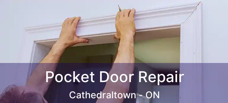  Pocket Door Repair Cathedraltown - ON
