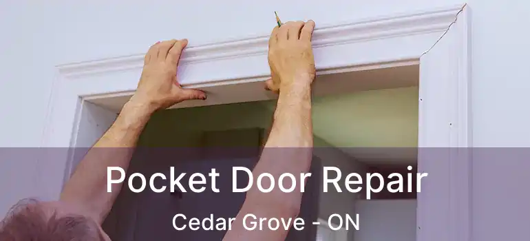  Pocket Door Repair Cedar Grove - ON