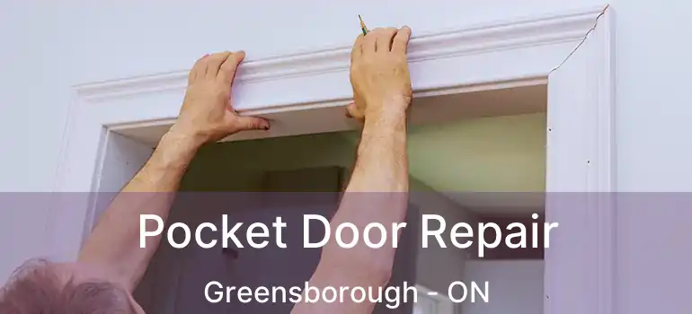  Pocket Door Repair Greensborough - ON