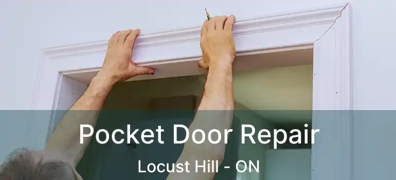  Pocket Door Repair Locust Hill - ON