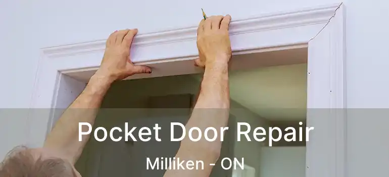  Pocket Door Repair Milliken - ON