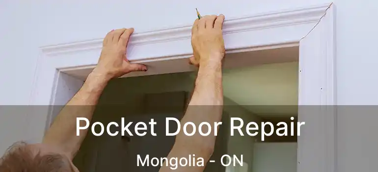  Pocket Door Repair Mongolia - ON