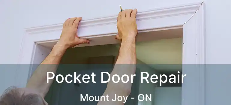  Pocket Door Repair Mount Joy - ON