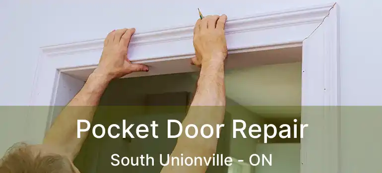  Pocket Door Repair South Unionville - ON