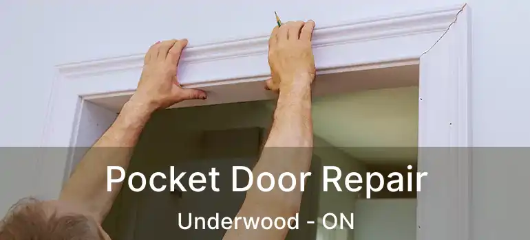  Pocket Door Repair Underwood - ON