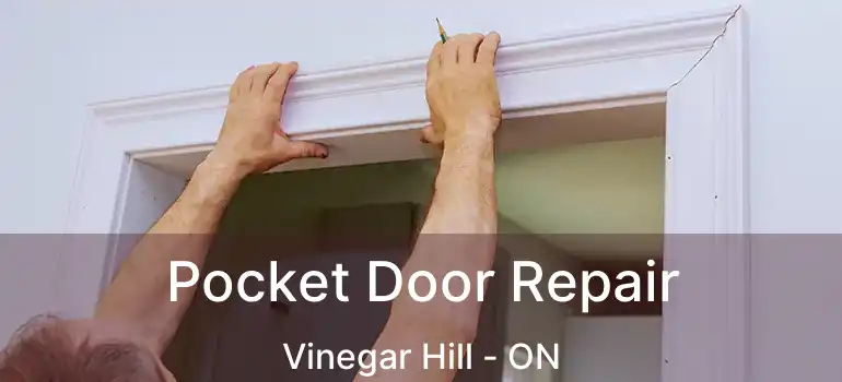  Pocket Door Repair Vinegar Hill - ON