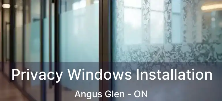  Privacy Windows Installation Angus Glen - ON