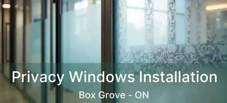  Privacy Windows Installation Box Grove - ON