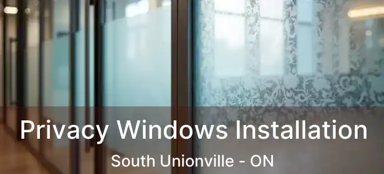  Privacy Windows Installation South Unionville - ON