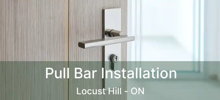  Pull Bar Installation Locust Hill - ON