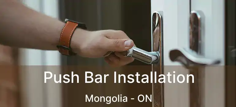  Push Bar Installation Mongolia - ON