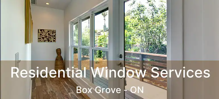 Residential Window Services Box Grove - ON
