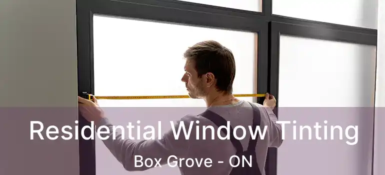  Residential Window Tinting Box Grove - ON