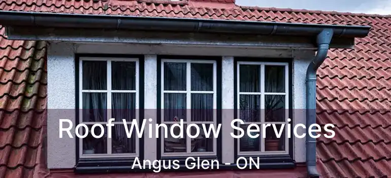  Roof Window Services Angus Glen - ON