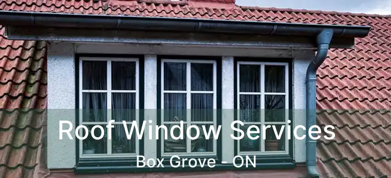  Roof Window Services Box Grove - ON