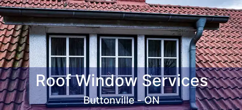  Roof Window Services Buttonville - ON