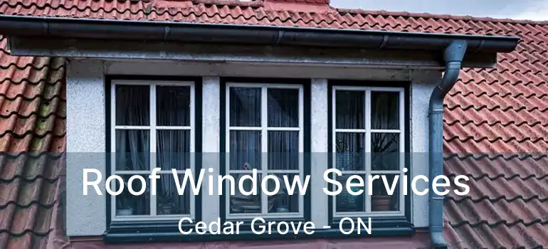  Roof Window Services Cedar Grove - ON