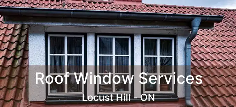  Roof Window Services Locust Hill - ON
