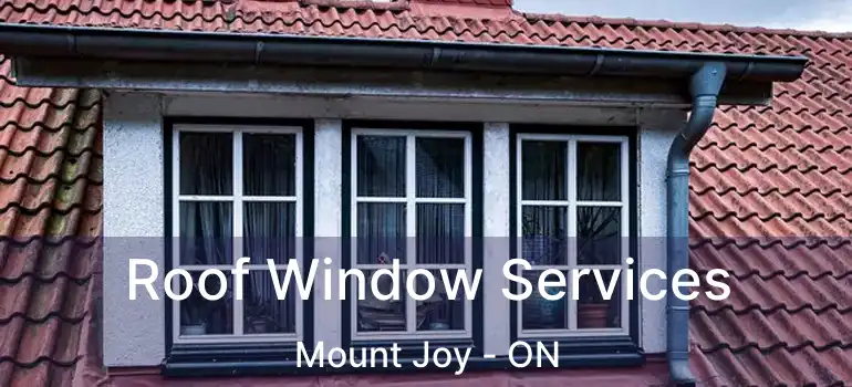  Roof Window Services Mount Joy - ON