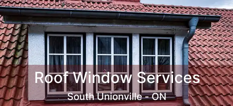  Roof Window Services South Unionville - ON