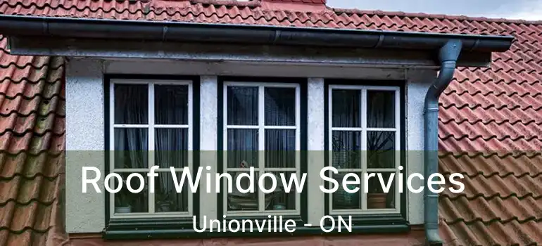  Roof Window Services Unionville - ON