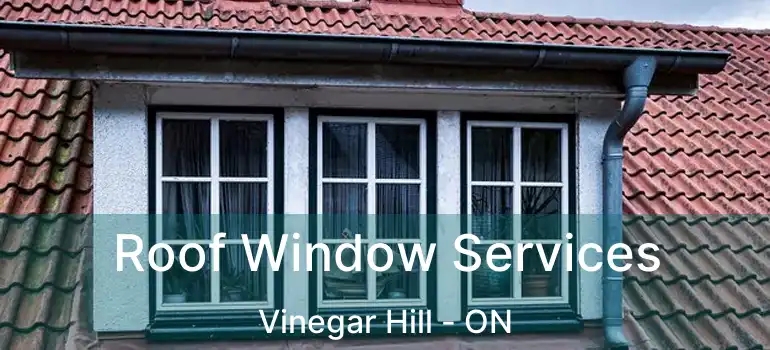  Roof Window Services Vinegar Hill - ON