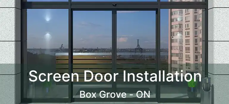  Screen Door Installation Box Grove - ON