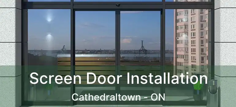  Screen Door Installation Cathedraltown - ON