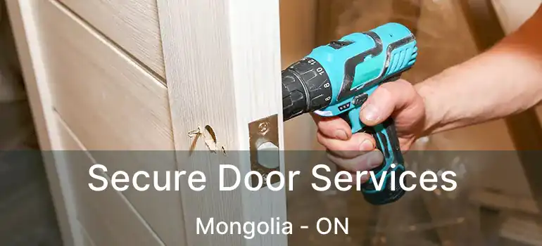  Secure Door Services Mongolia - ON