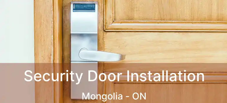  Security Door Installation Mongolia - ON