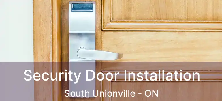  Security Door Installation South Unionville - ON
