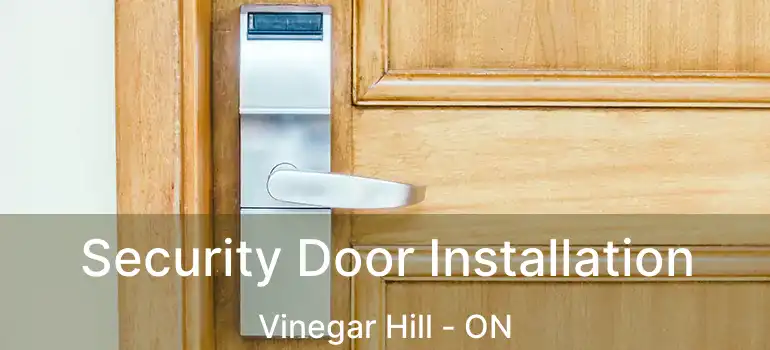  Security Door Installation Vinegar Hill - ON
