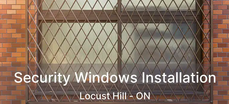  Security Windows Installation Locust Hill - ON