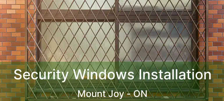  Security Windows Installation Mount Joy - ON