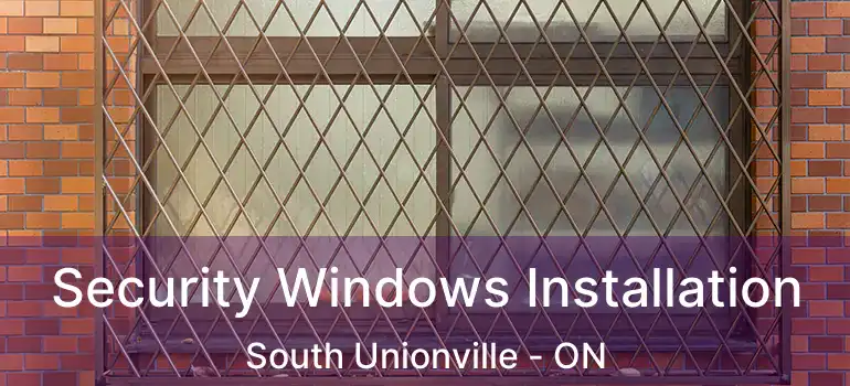  Security Windows Installation South Unionville - ON