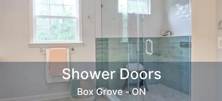  Shower Doors Box Grove - ON