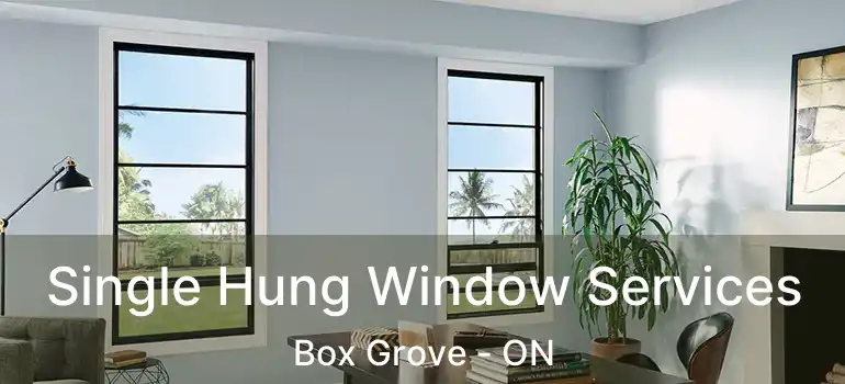  Single Hung Window Services Box Grove - ON