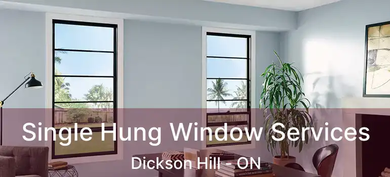  Single Hung Window Services Dickson Hill - ON
