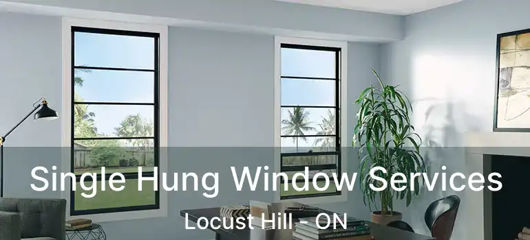  Single Hung Window Services Locust Hill - ON
