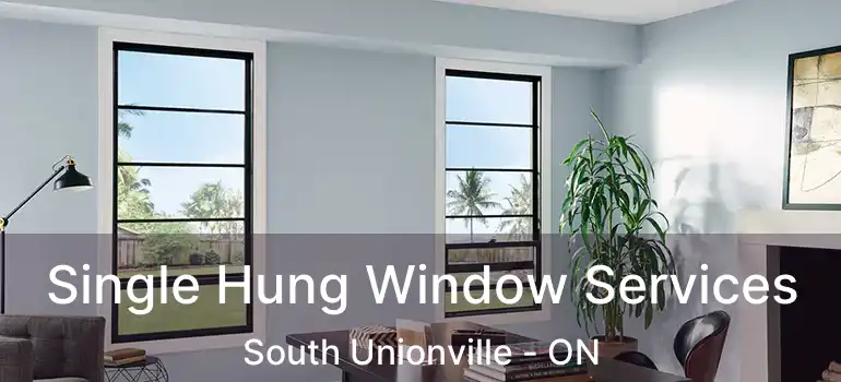  Single Hung Window Services South Unionville - ON