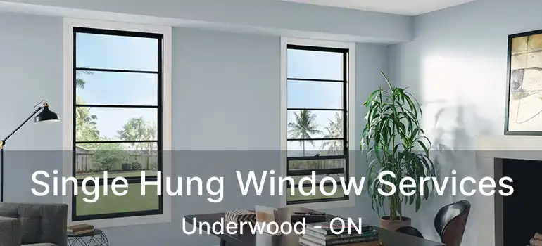  Single Hung Window Services Underwood - ON