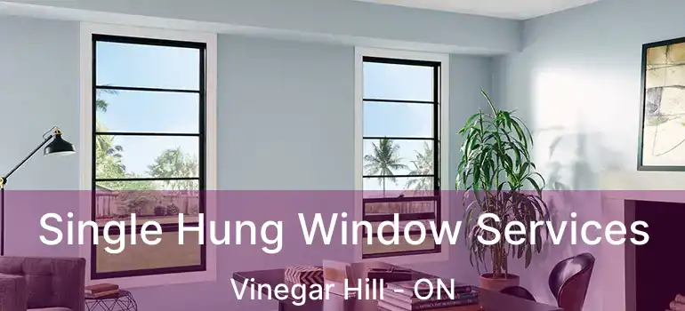  Single Hung Window Services Vinegar Hill - ON